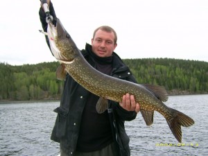 suede david broc doc 300x225 Voyages de pêche en Suède.