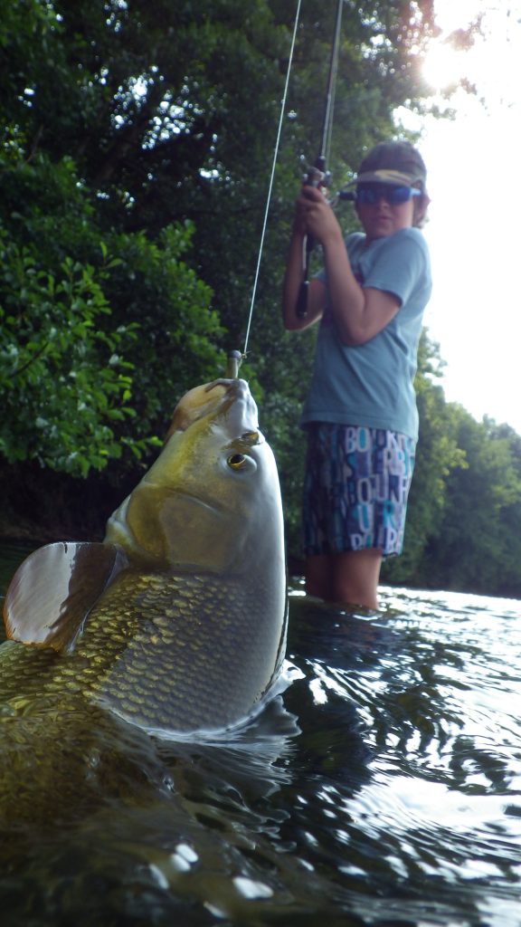 tout poisson 81 576x1024 Galerie photo tous poissons